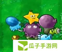 《植物大战僵尸嫁接版》植物图鉴大全