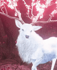 《刺客信条:影》全传说墨绘收集攻略分享