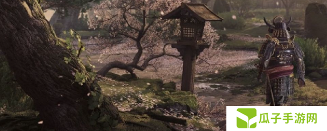 《刺客信条:影》收集武形要点分享