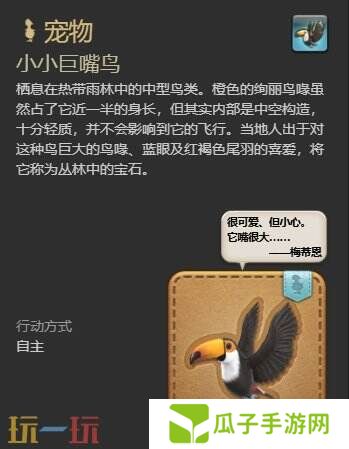 ff14小小巨嘴鸟获取攻略 7.1新宠物小小巨嘴鸟获得方法